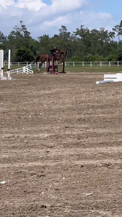 slow mo🌷|‼️⚠️FAKE⚠️‼️