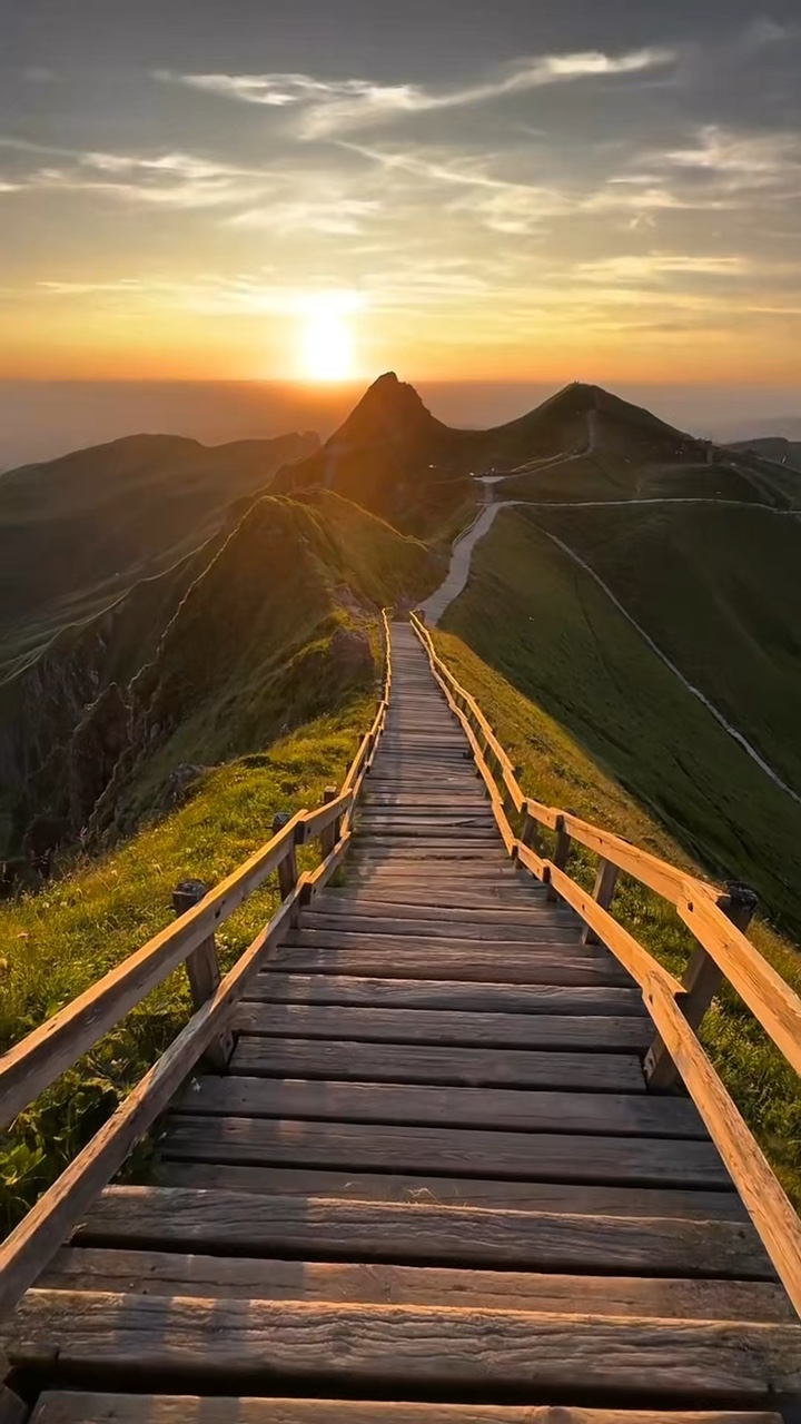 9 clips wild nature 