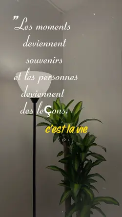 motivation qoutes