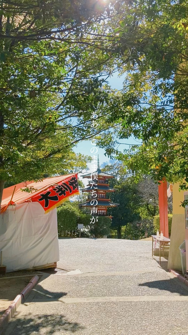 夢灯籠