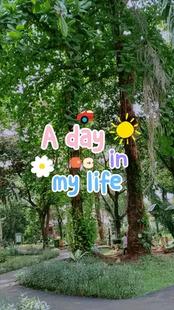 A day in my life