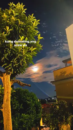 Lyric Trend