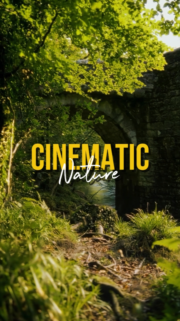 CINEMATIC NATURE