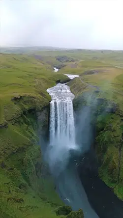 14 video wild nature
