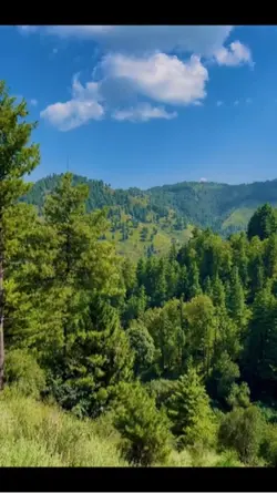 Natural video