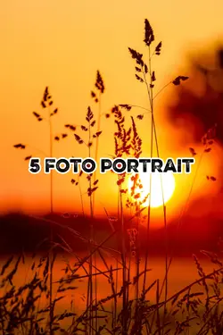 5 foto portrait