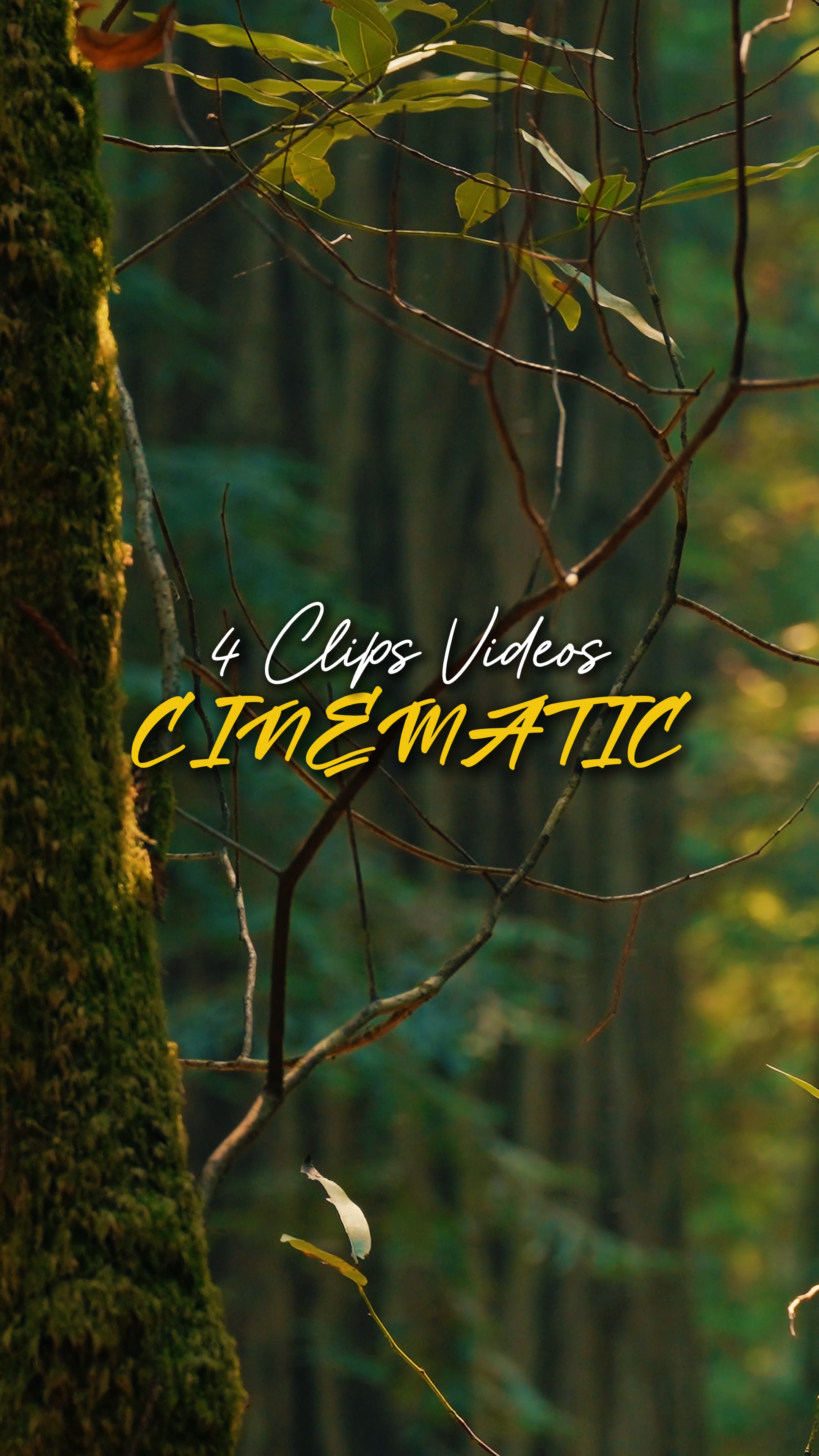 Cinematic 4 Videos