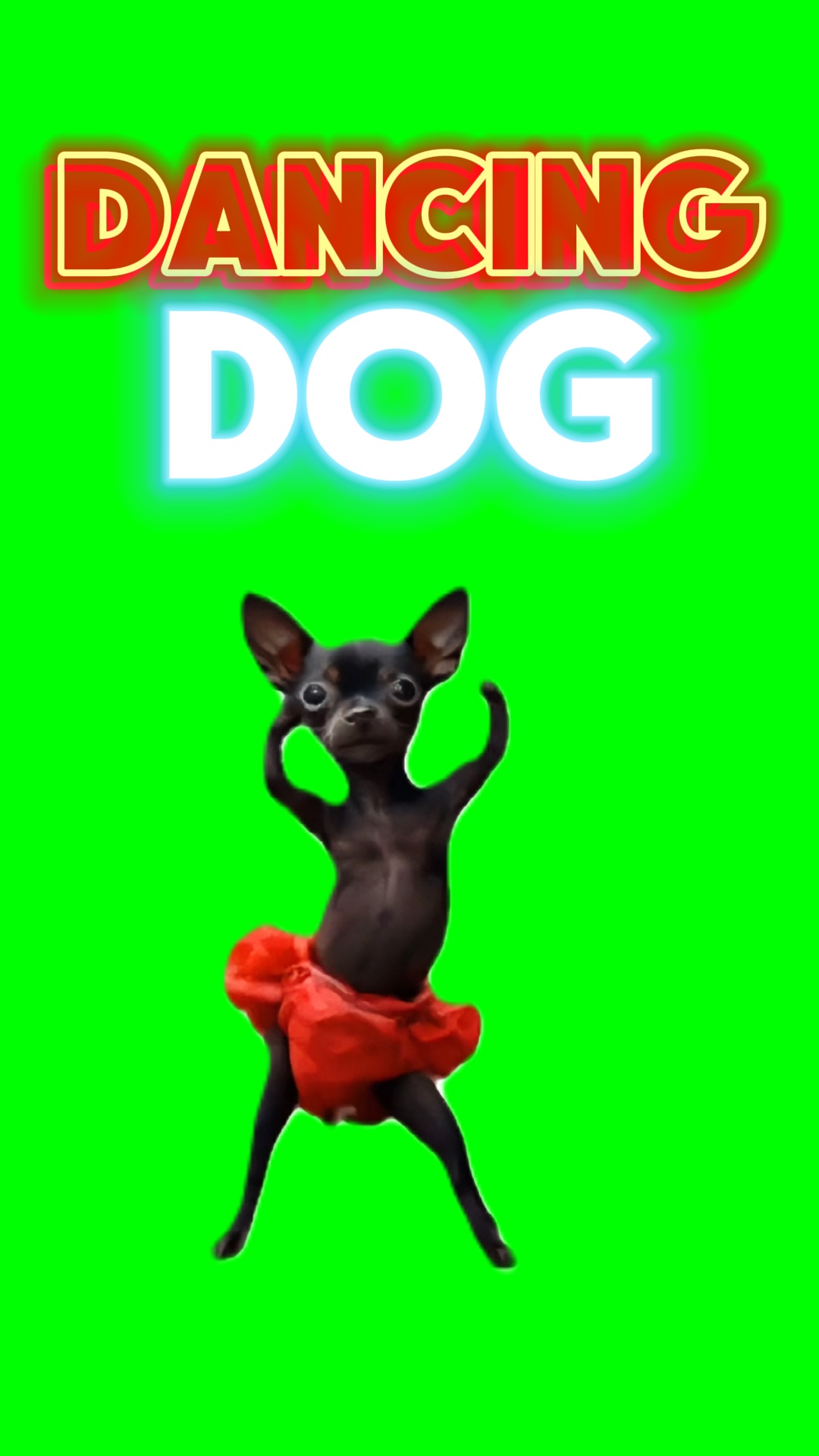 Tanzender Hund