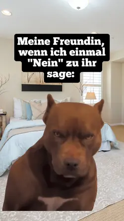 angry dog