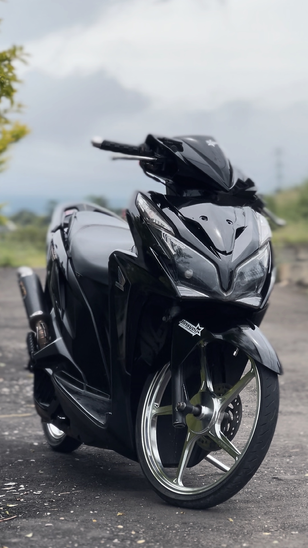 Cover Picture