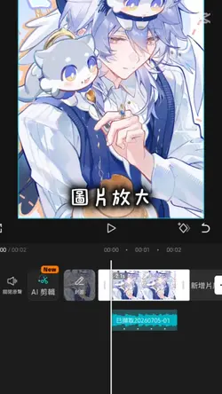 應該是這個幀法