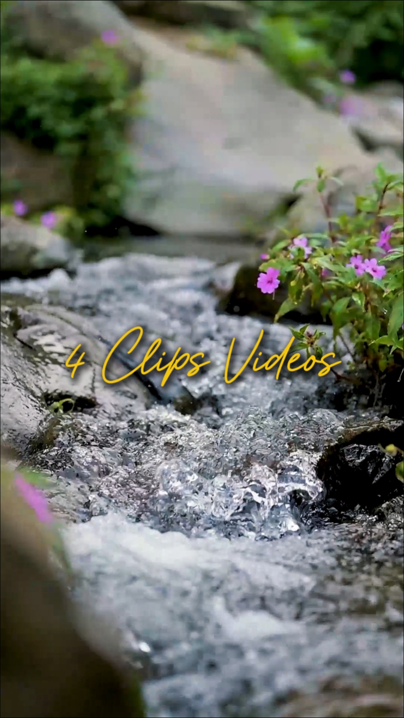 CINEMATIC 4 VIDEOS