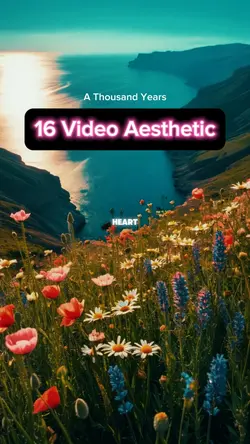 16 Videos Aesthetic