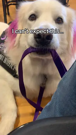 Can’t expect this…