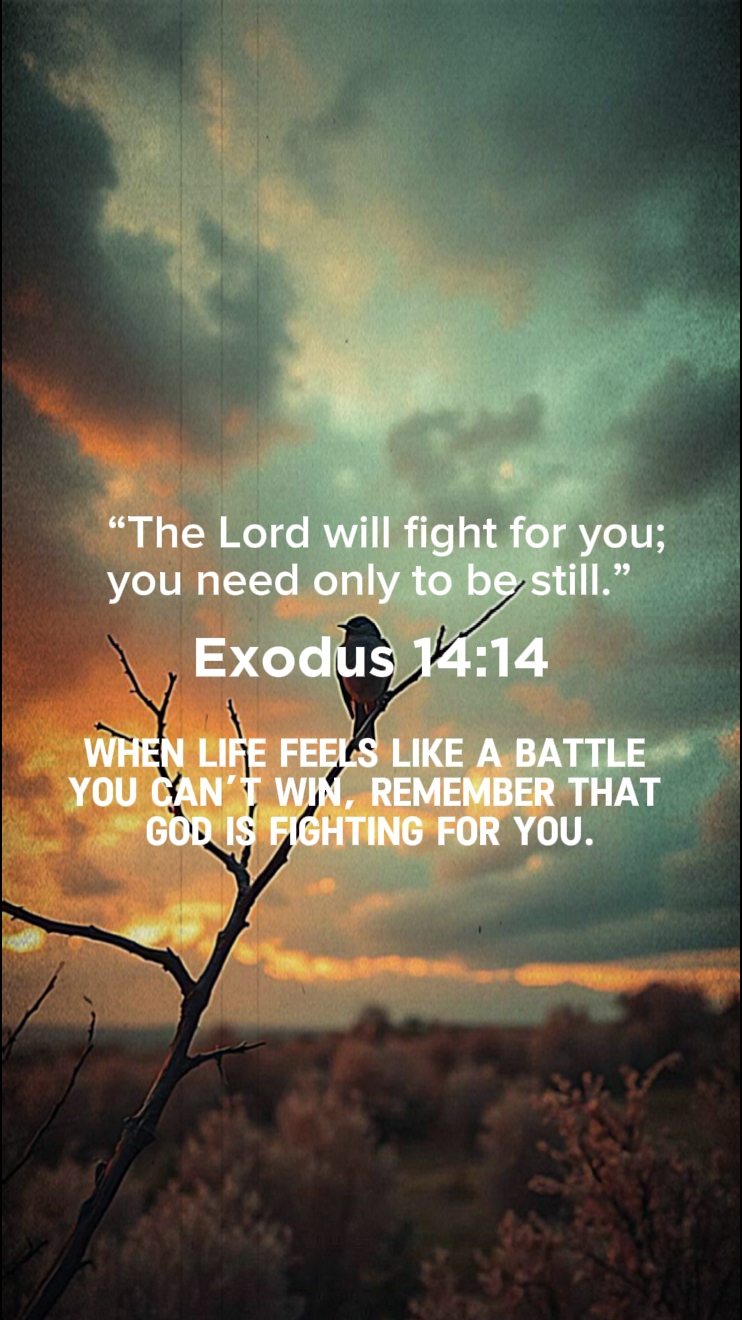 Êxodo 14: 14