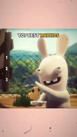 Rabbid