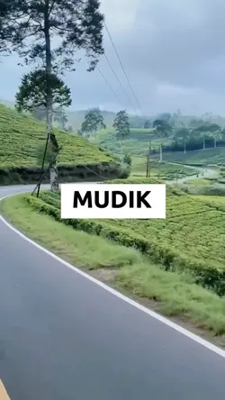 MUDIK