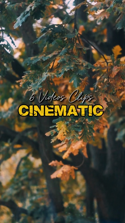 Cinematic 6 Videos