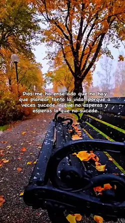 frases bonitas