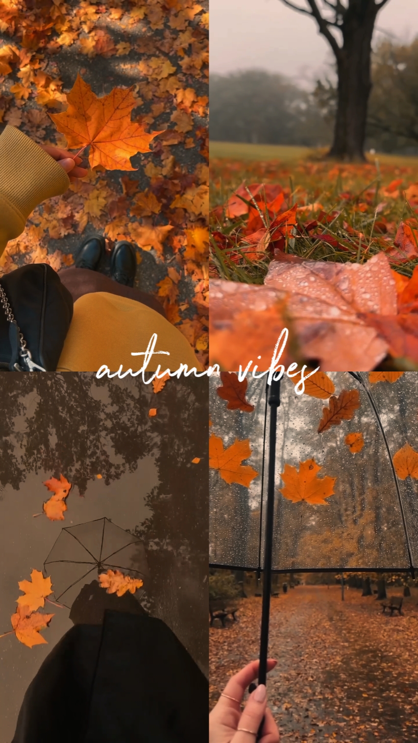 Herbst | Gitter
