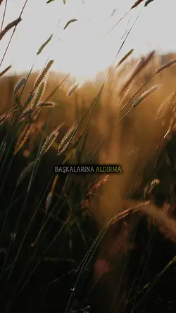 Başkalarına aldırma