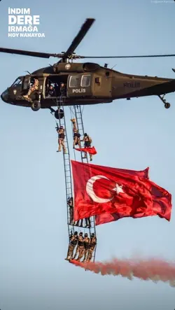 Yeni şablon