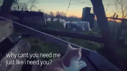 just like i need u?