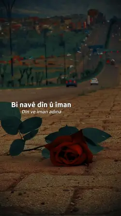 Şarkının Güzelliği 