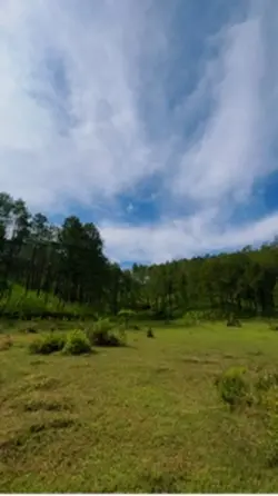 Slowmo video