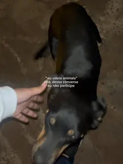 Eu odeio animais 