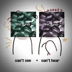  cnt see x cnt hear