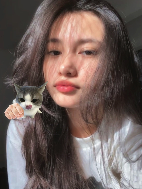 stiker bisa digeser 