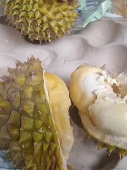 berusaha nikmati
