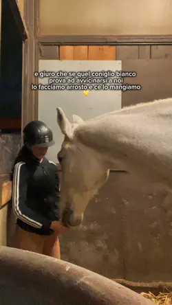 quel coniglio bianco