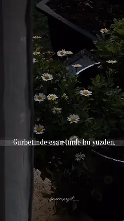 söz Şablon