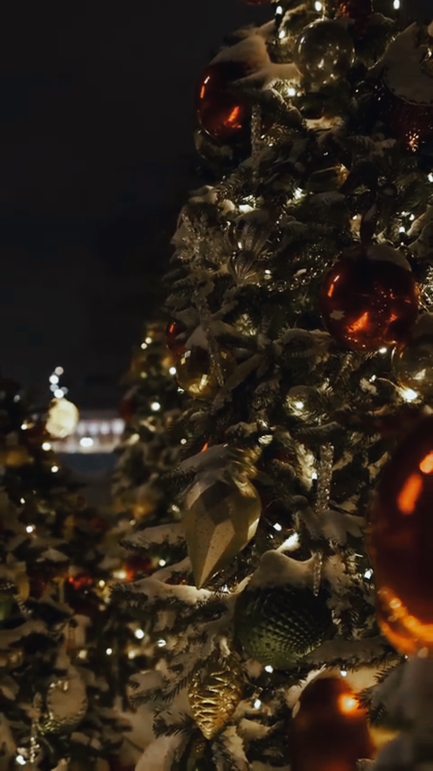 NAVIDAD