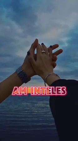 Totul Meu
