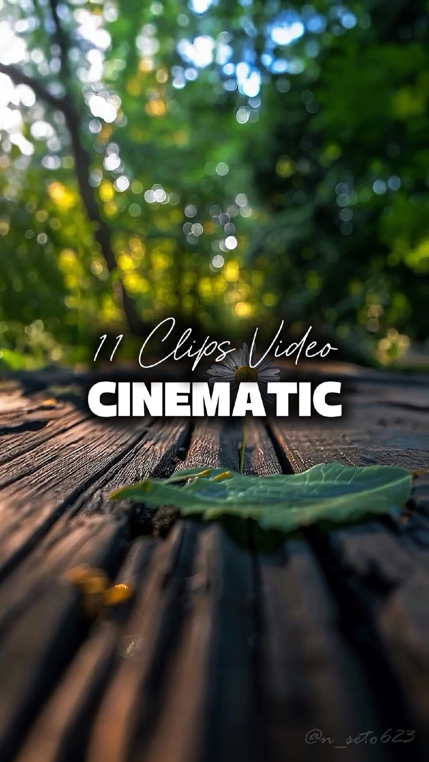 11 Videos Cinematic