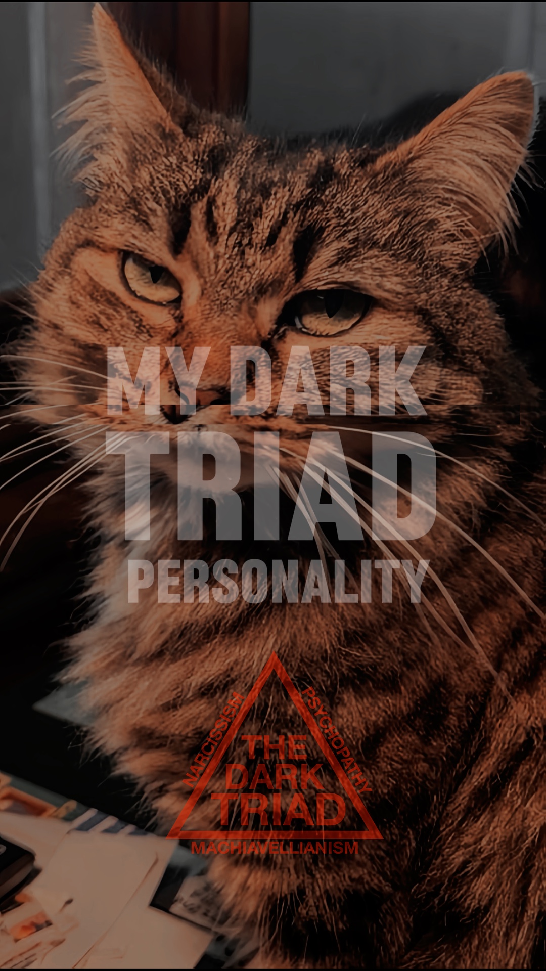 My Dark Triad