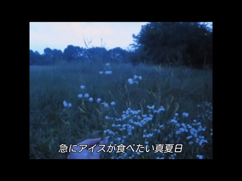 フロントメモリー