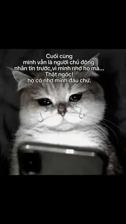 cap tâm trạng 