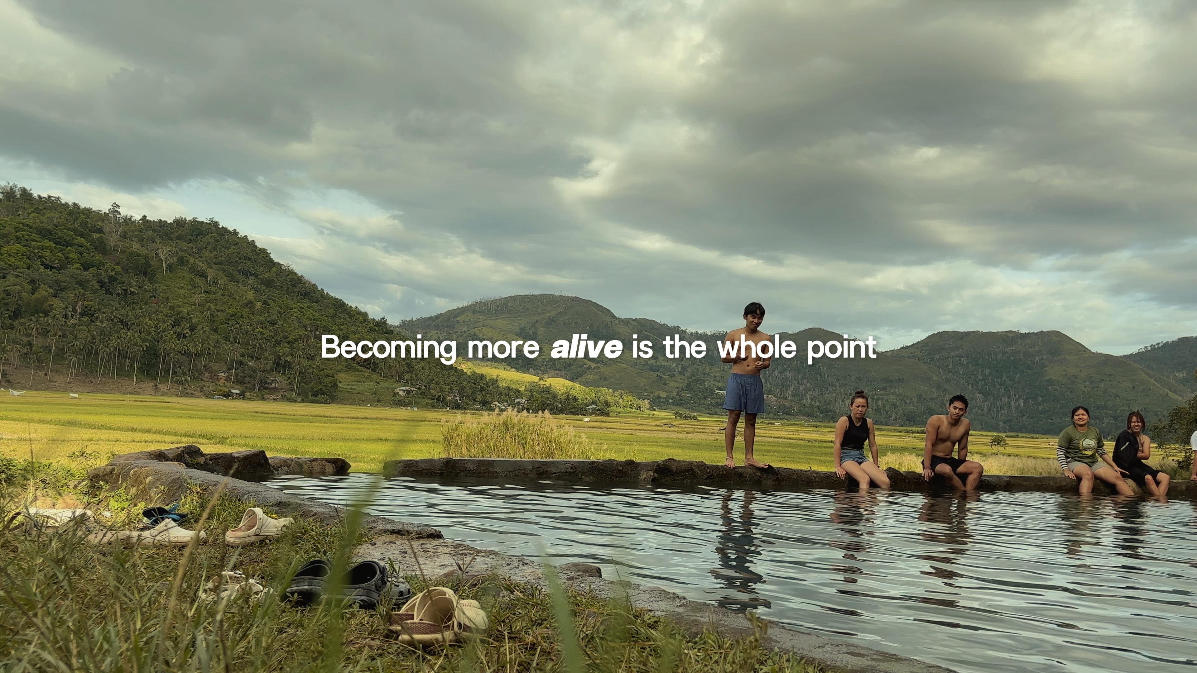 The whole point 