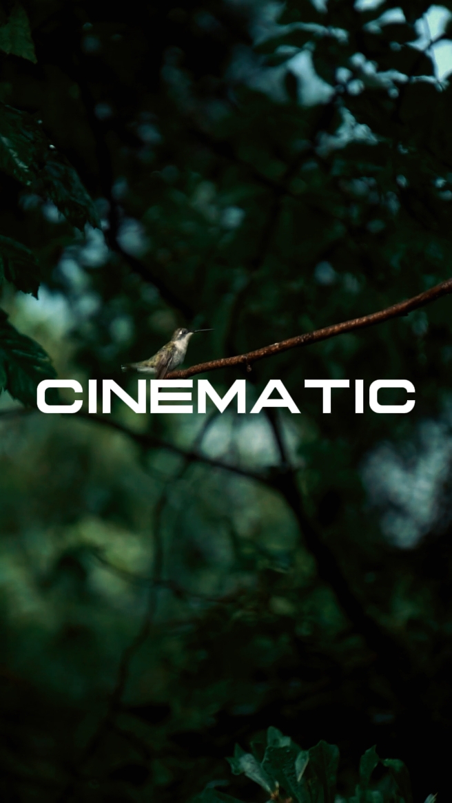 cinematic 8clips 