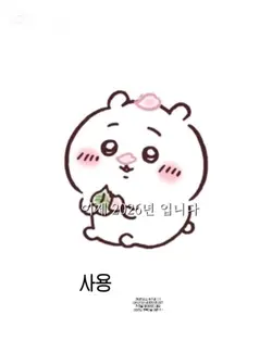 이제 2026년 입니다