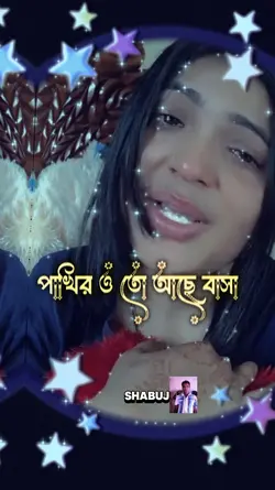 পাখির ও তো আছে বাসা