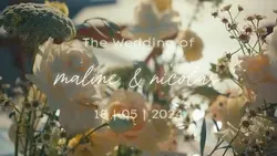 MINI VLOG WEDDING