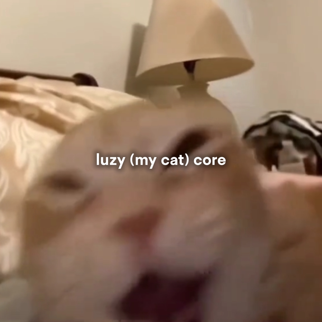 내 고양이 코어