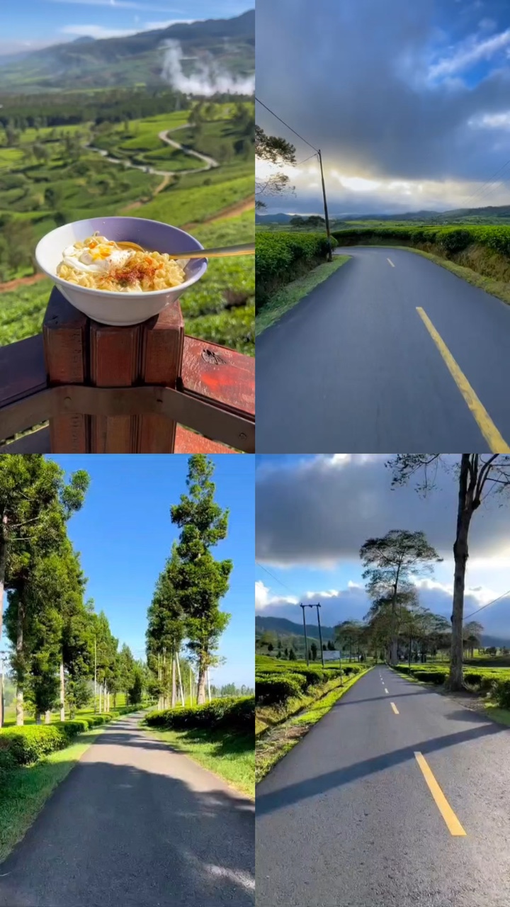 4 video travel mu