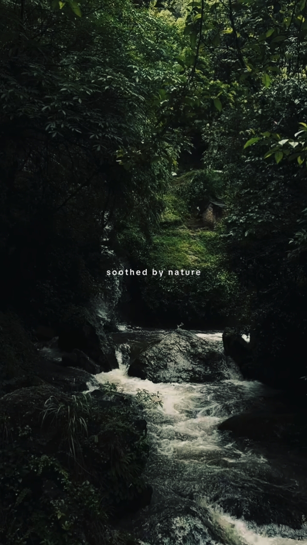 Apaisé par la nature