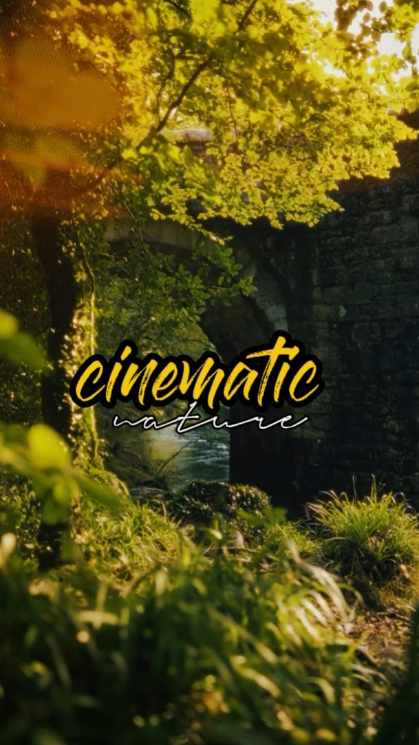 nature cinématographique 
